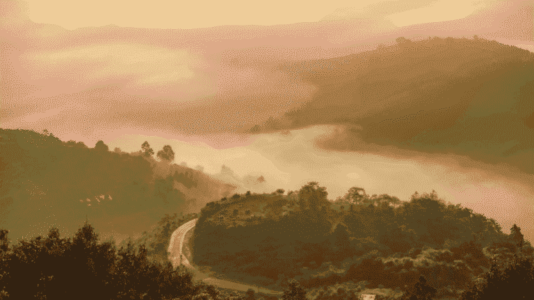 2025 | Trại #2 | Bảo Lộc | Lâm Đồng