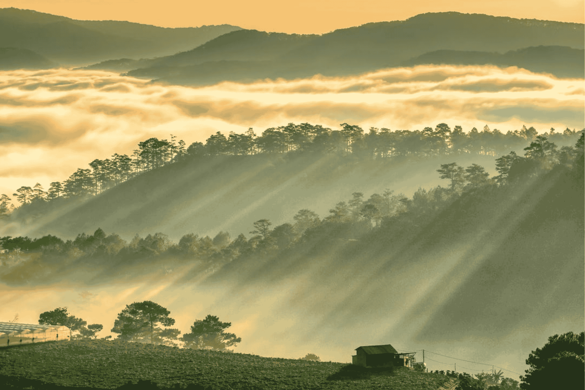 Trại tennis #5 | Bảo Lộc, Lâm Đồng